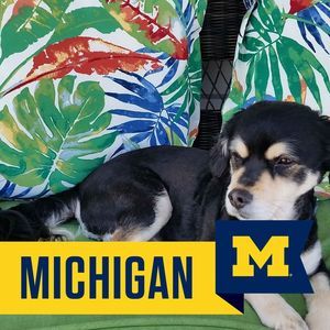 Meet your Posher, Kathleen